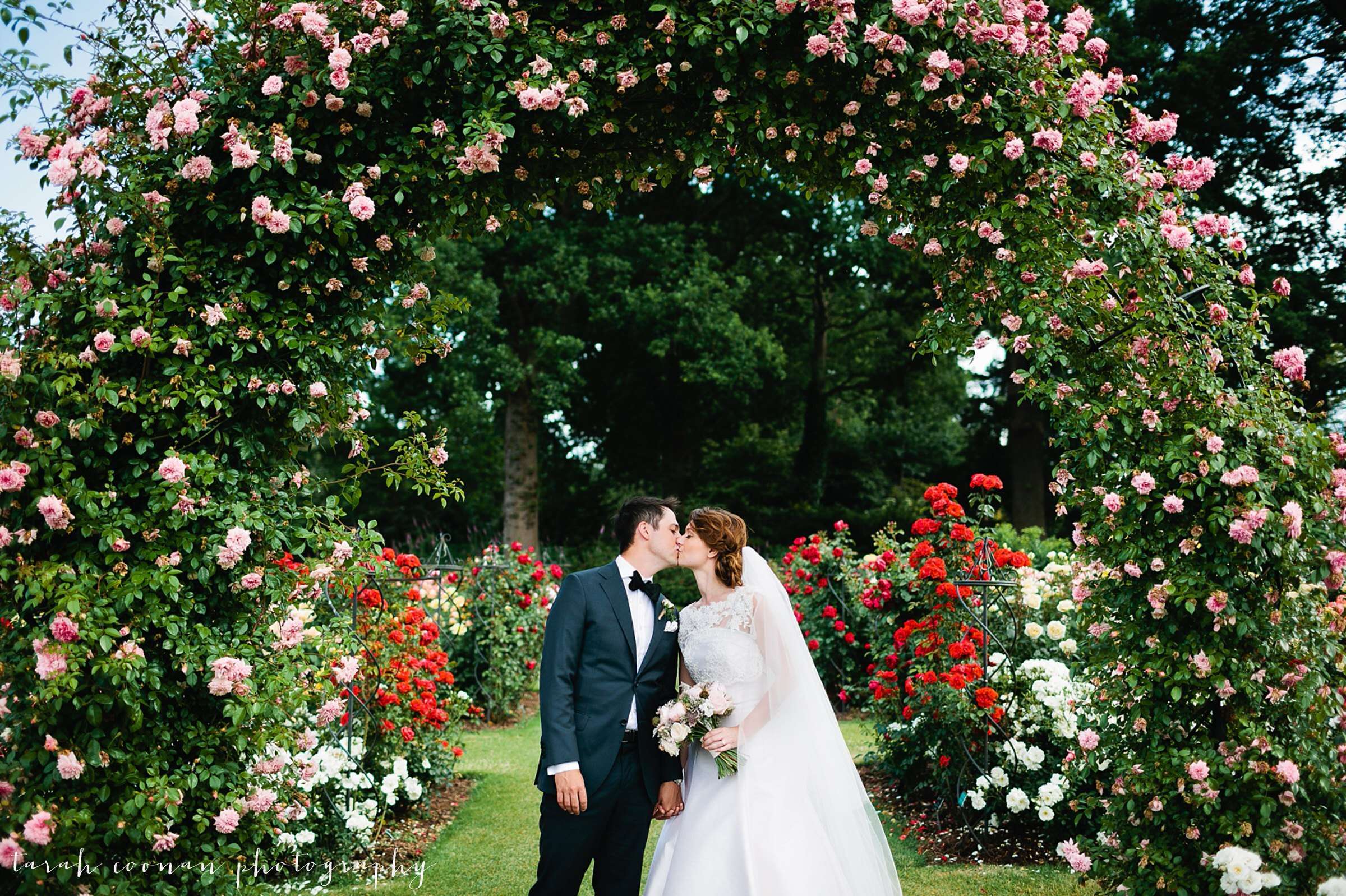 RHS Wisley rose garden June